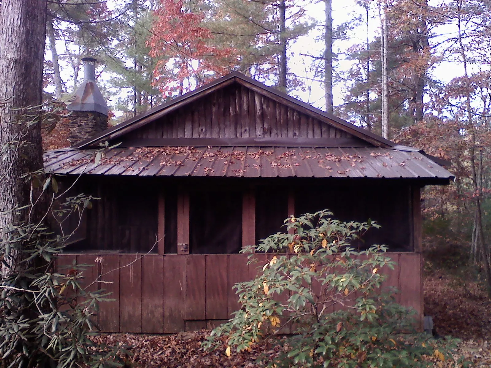 Metal roof over the screened porch of a rustic cabin in High Falls